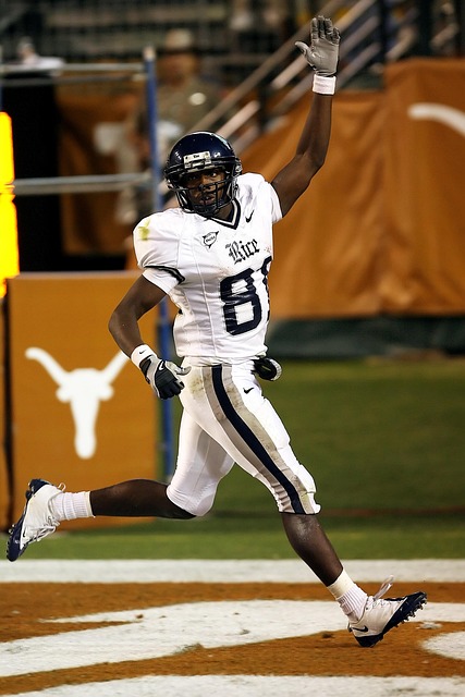 的独特魅力 的独特魅力